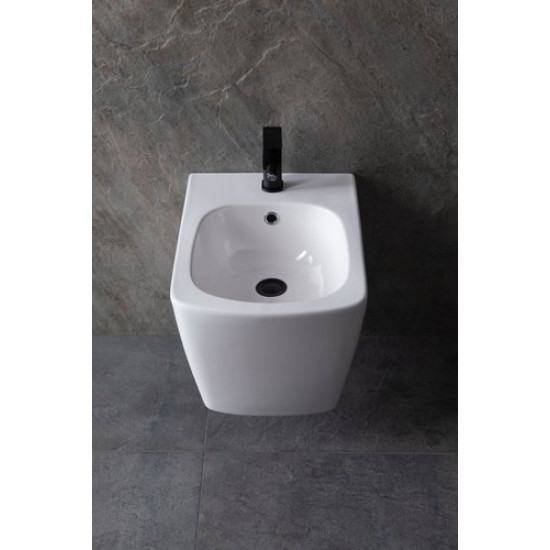 Биде подвесное Allen Brau Liberty 4.33005.20 50x36 белый