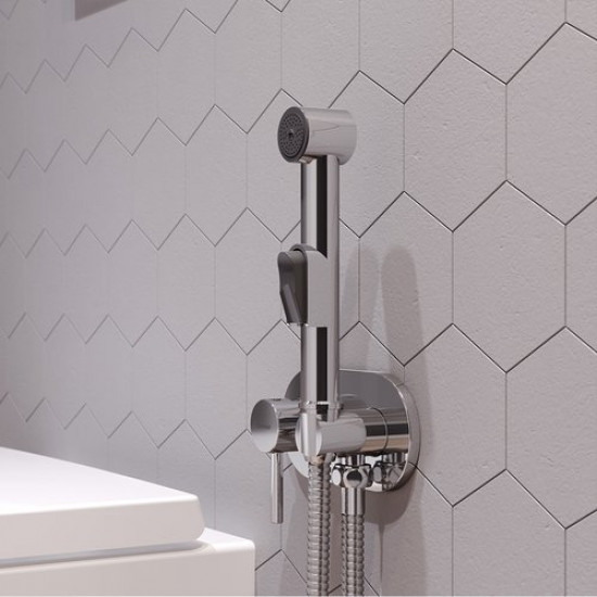 Смеситель c гигиеническим душем RedBlu by Damixa 212000000 хром Смеситель c гигиеническим душем RedBlu by Damixa 212000000 хром