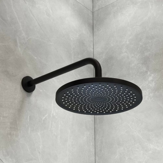 Верхний душ Iddis OPH25BPi64 черный матовый Верхний душ Iddis OPH25BPi64 черный матовый
