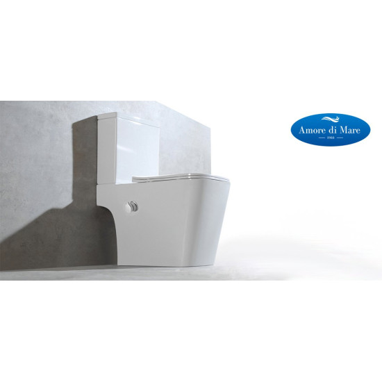 Унитаз-компакт Amore di Mare Tronto Bidet N900-X 36,5x65 с функцией биде, сиденье Duroplast, микролифт, белый
