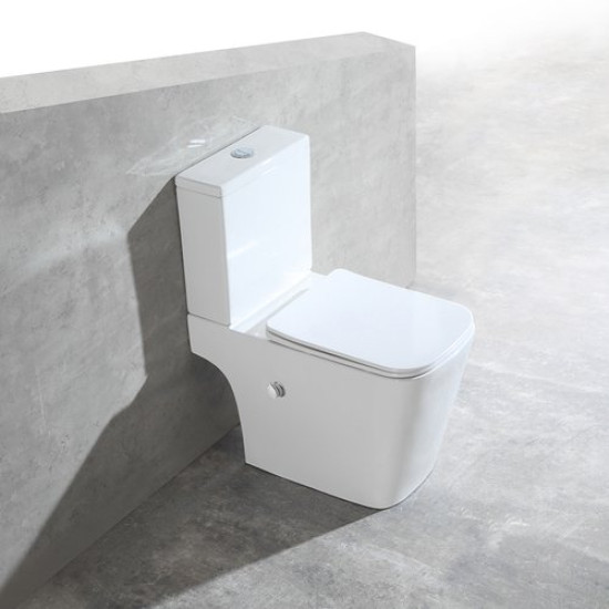 Унитаз-компакт Amore di Mare Tronto Bidet N900-X 36,5x65 с функцией биде, сиденье Duroplast, микролифт, белый